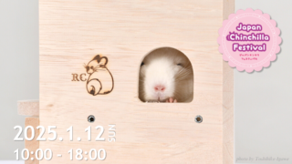 Japan Chinchilla Festival 2025』開催決定！ | JapanChinchilllaFestival